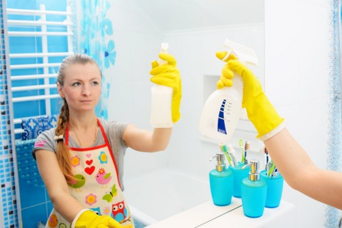 Professional window cleaning improving a bright property exterior