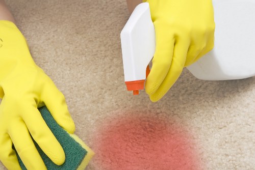 Fresh move in cleaning for a clean new home