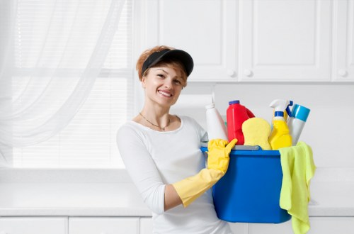 Weekly domestic cleaning routine for a tidy home