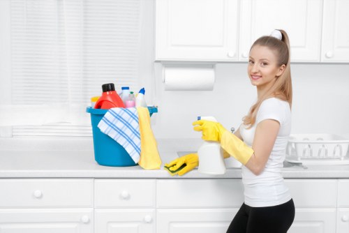 Professional carpet cleaning in a bright living room
