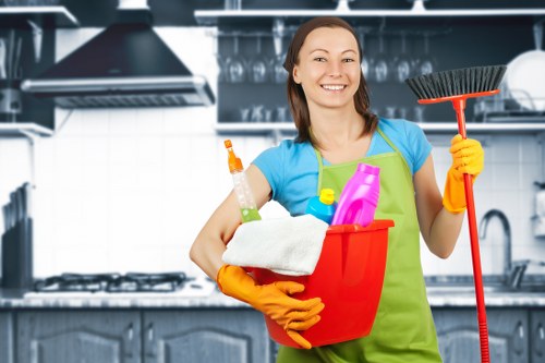 Deep cleaning tasks for bathrooms and detailed home care