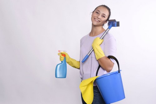 Professional Airbnb cleaning checklist and bathroom preparation
