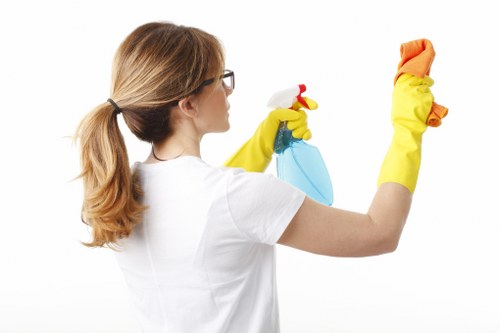 Detailed Battersea cleaning in a kitchen and living area