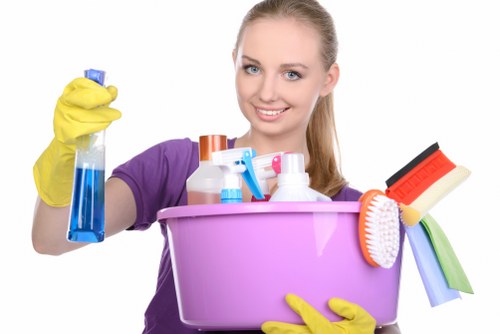 Business cleaning professionals supporting a clean workplace