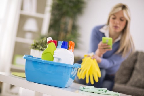 Professional cleaning service for a fresh household