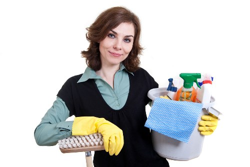 Bathroom domestic cleaning and sanitizing