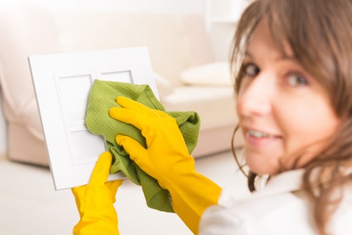 Cleaning supplies arranged for professional mattress cleaning
