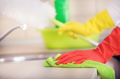 Routine rug maintenance and vacuuming in a busy household